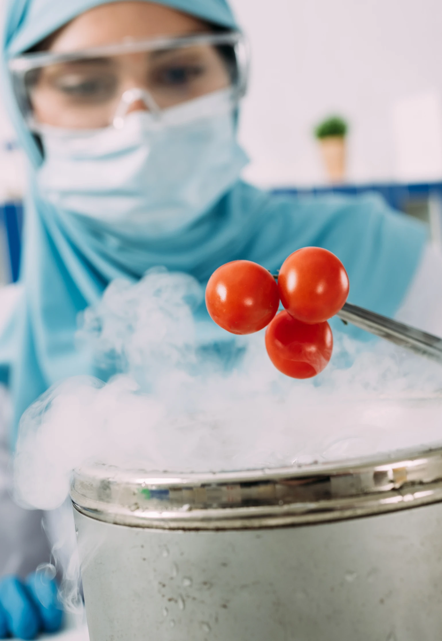 Productos químicos alimenticios