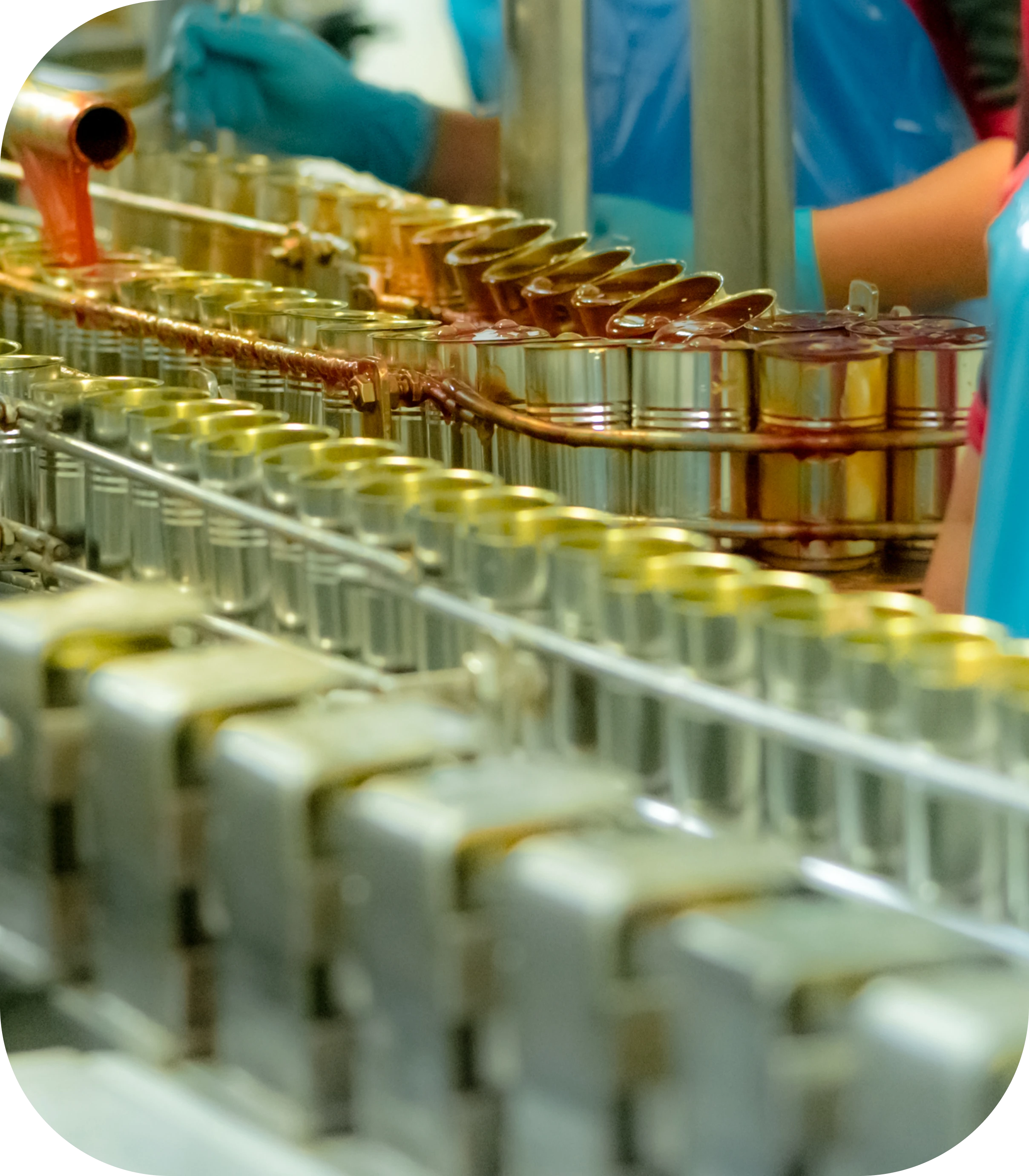 Aplicaciones de los productos químicos en la industria alimentaria